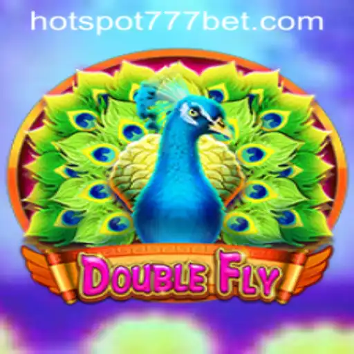 DoubleFly: Navigating HotSpot777 and Beyond